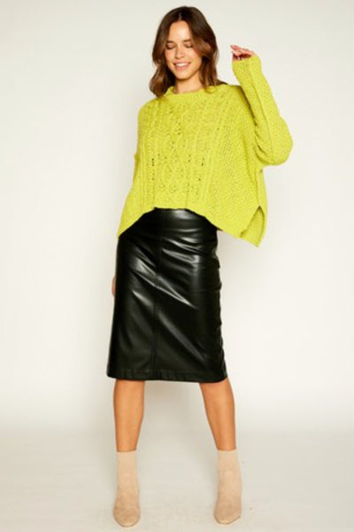Petra Faux Leather Skirt